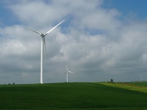WindTurbines.jpg