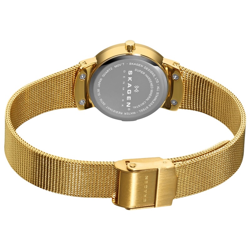 skagen ladies watch strap