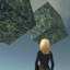 Borg Invasion