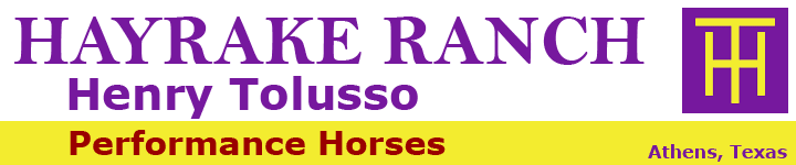 Hayrake Ranch Performance Horses Sun Frost Athens Texas