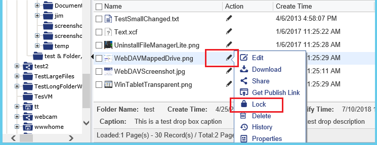 Lock a cloud file in web browser