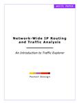 Network Wide IP Routing & Traffice Analysis.pdf