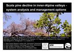 Scots pine decline in inner-Alpine valleys - system analysis and management options.pdf