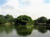 Lake Garden-Bird Park