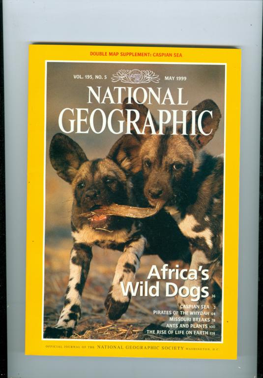 1999 National Geographic Magazine: Africas Wild Dogs | eBay
