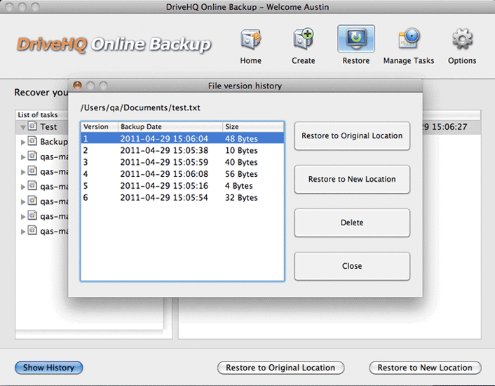 DriveHQ Online Backup for Mac screenshot - file version history