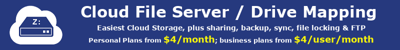 Leading Enterprise Cloud IT Service Since 2003