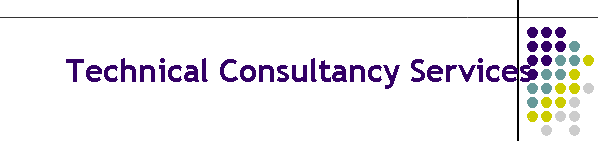 Technical Consultancy Services